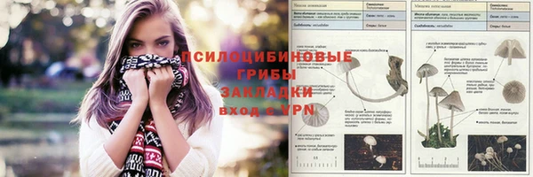 шишки Балабаново