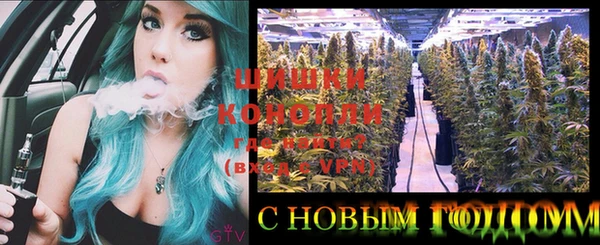 шишки Балабаново