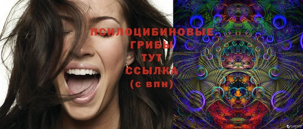 шишки Балабаново
