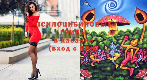 шишки Балабаново
