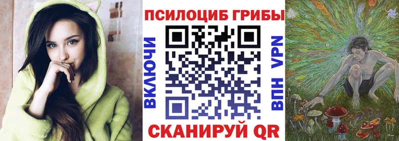 Галлюциногенные грибы GOLDEN TEACHER  Гай 